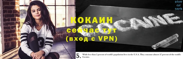 гидра Белоозёрский