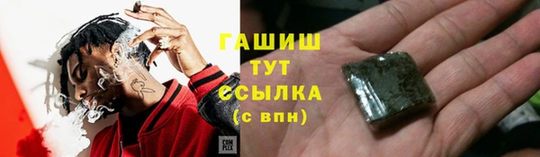 гидра Белоозёрский
