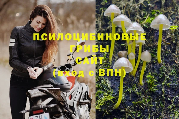 гидра Белоозёрский