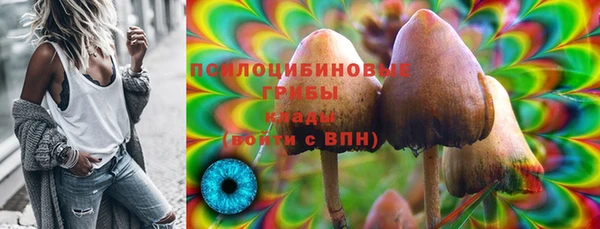 не бодяженный Богданович